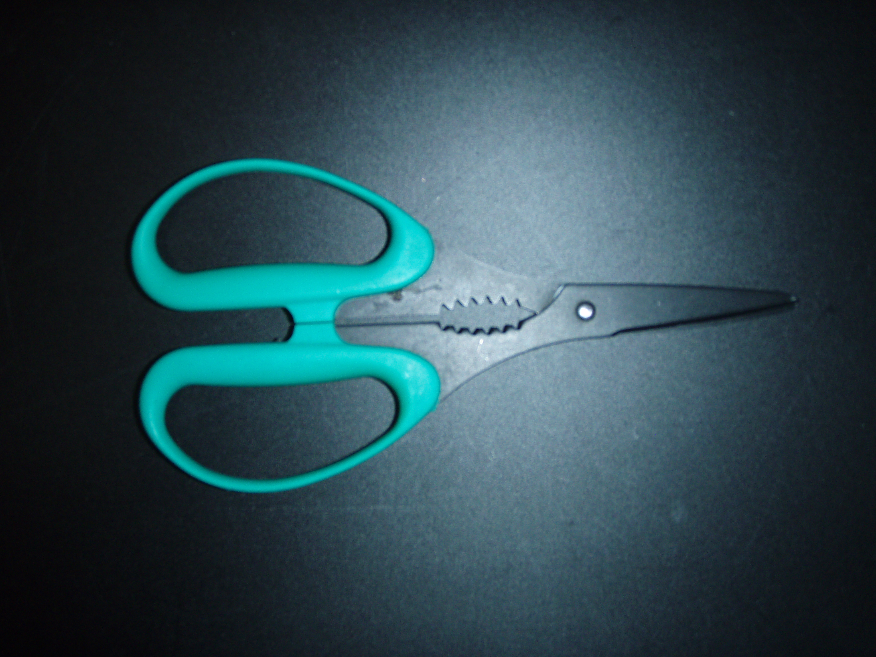 魚のトゲから腹出しまで何でもできる万能バサミ ダイワ トゲチョキ 日本の釣りにしらしんけん ジギング タイラバ 船釣り タックルインプレ等